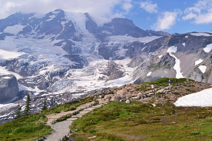A Visitor's Guide to Paradise at Mount Rainier National Park